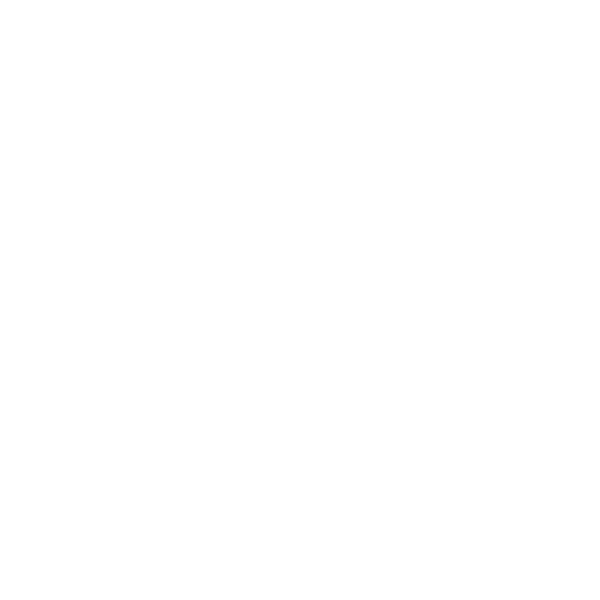 VivaCieloModa